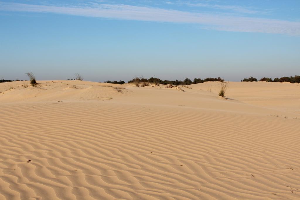 Natuurpoort Van Loon Loon op Zand Eksteriør bilde