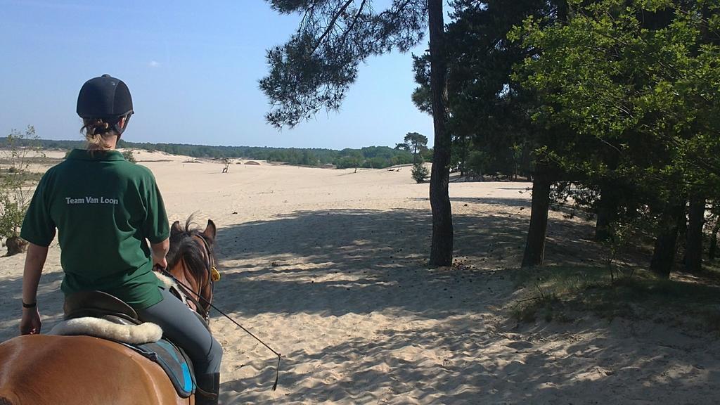 Natuurpoort Van Loon Loon op Zand Eksteriør bilde